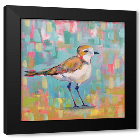 Coastal Plover III Black Modern Wood Framed Art Print with Double Matting by Vertentes, Jeanette