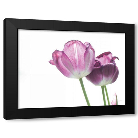 Tulip Time I Black Modern Wood Framed Art Print by Aledanda