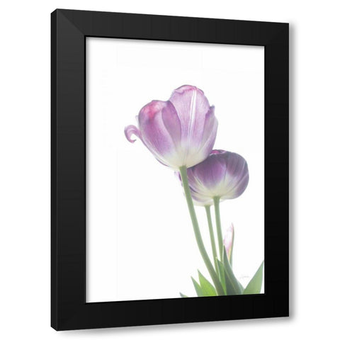 Tulip Time III Black Modern Wood Framed Art Print by Aledanda