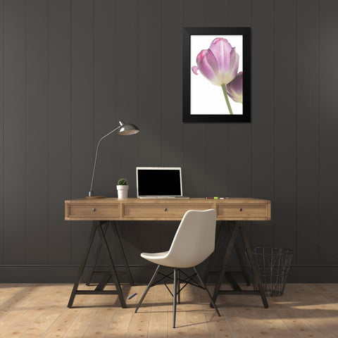 Tulip Time IV Black Modern Wood Framed Art Print by Aledanda