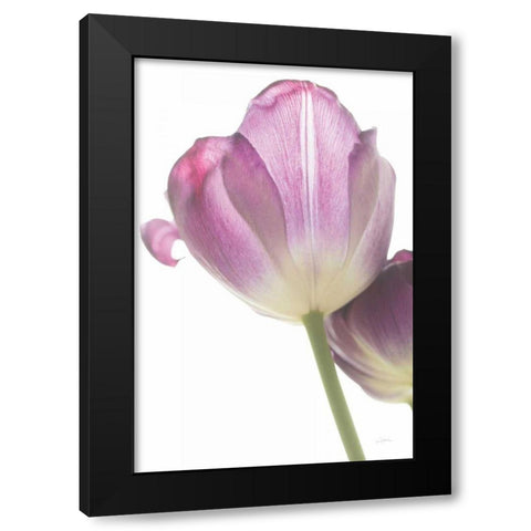 Tulip Time IV Black Modern Wood Framed Art Print by Aledanda