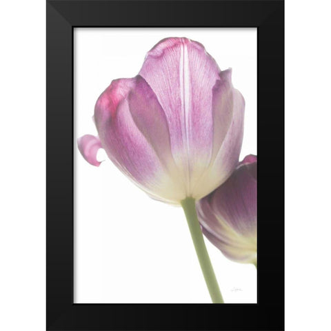 Tulip Time IV Black Modern Wood Framed Art Print by Aledanda