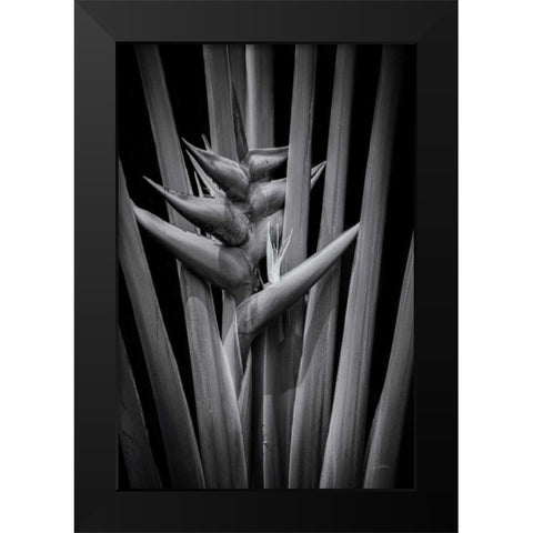 Tropical I Black Modern Wood Framed Art Print by Aledanda