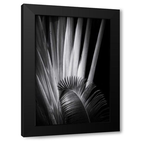 Tropical II Black Modern Wood Framed Art Print by Aledanda
