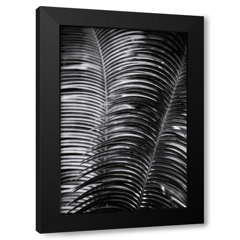 Tropical III Black Modern Wood Framed Art Print with Double Matting by Aledanda