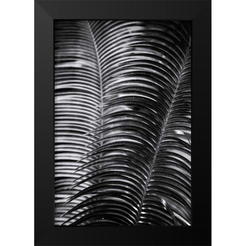 Tropical III Black Modern Wood Framed Art Print by Aledanda