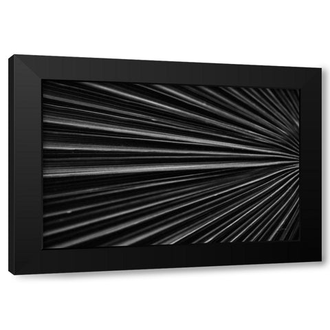 Tropical IV Black Modern Wood Framed Art Print by Aledanda