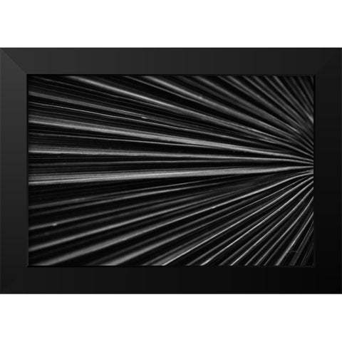 Tropical IV Black Modern Wood Framed Art Print by Aledanda