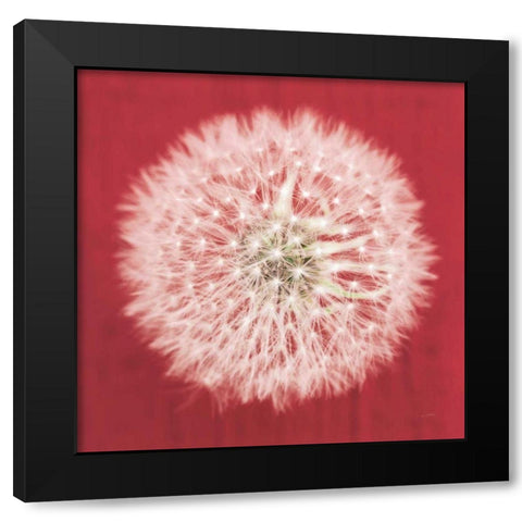 Dandelion on Red I Black Modern Wood Framed Art Print by Aledanda