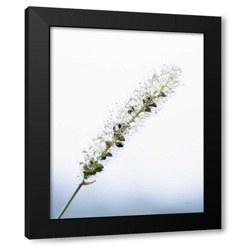 Seeds and Water I Black Modern Wood Framed Art Print by Aledanda