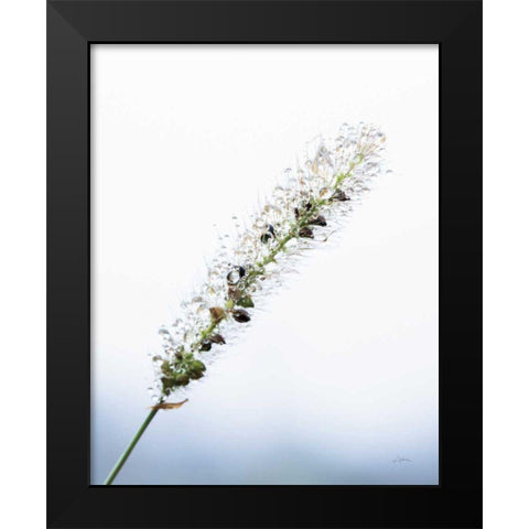 Seeds and Water I Black Modern Wood Framed Art Print by Aledanda