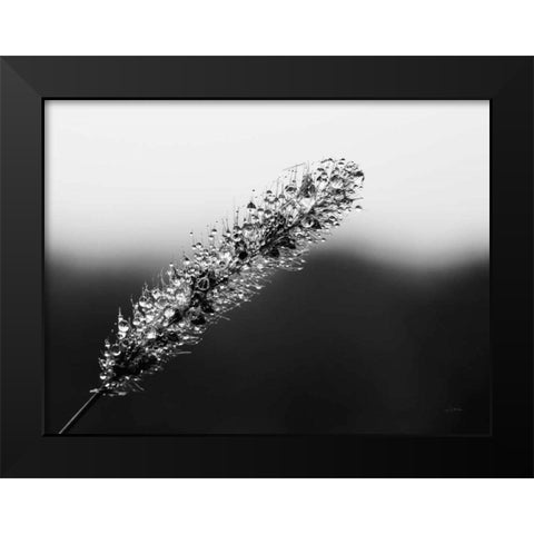Seeds and Water II Black Modern Wood Framed Art Print by Aledanda
