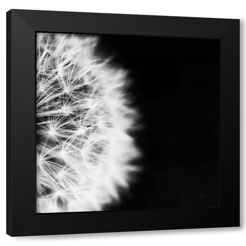 Dandelion on Black II Black Modern Wood Framed Art Print with Double Matting by Aledanda