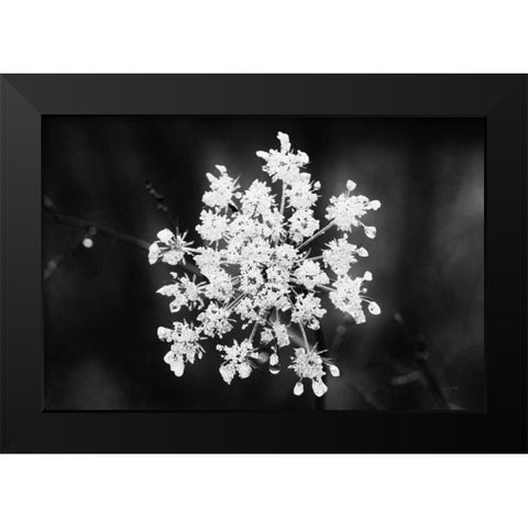 Diamond Brooch Black Modern Wood Framed Art Print by Aledanda