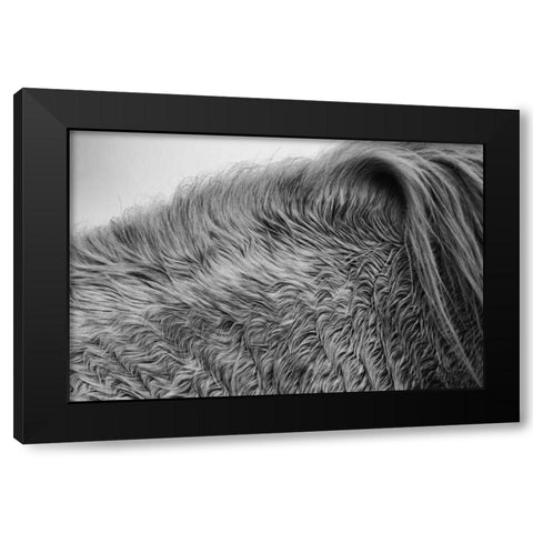 Horse Hair Black Modern Wood Framed Art Print by Aledanda