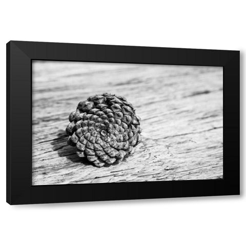 Pinecone Black Modern Wood Framed Art Print by Aledanda