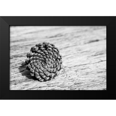 Pinecone Black Modern Wood Framed Art Print by Aledanda