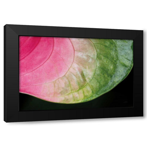 Pink and Green Black Modern Wood Framed Art Print by Aledanda