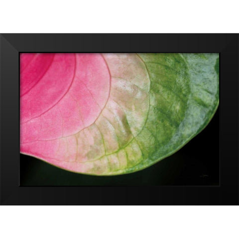 Pink and Green Black Modern Wood Framed Art Print by Aledanda