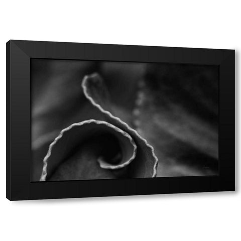 Circling Around Black Modern Wood Framed Art Print with Double Matting by Aledanda