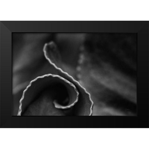 Circling Around Black Modern Wood Framed Art Print by Aledanda