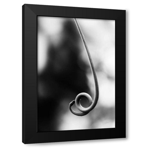 Curly Cue Black Modern Wood Framed Art Print by Aledanda