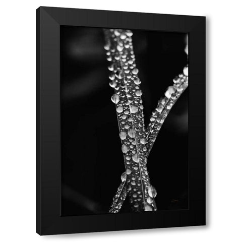Water Droplets Black Modern Wood Framed Art Print by Aledanda