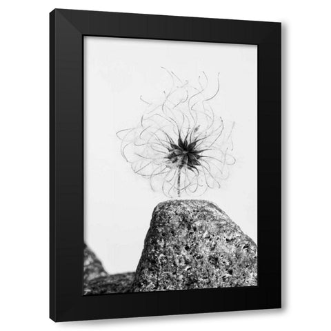 Electrifying Black Modern Wood Framed Art Print with Double Matting by Aledanda