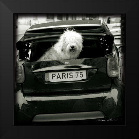 Paris Dog I Black Modern Wood Framed Art Print by Olivier, Marc