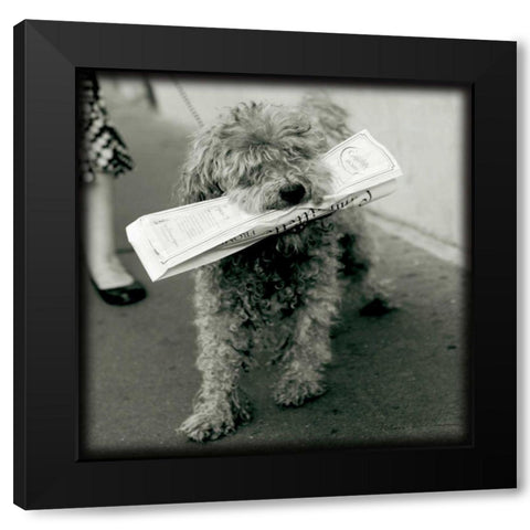 Paris Dog II Black Modern Wood Framed Art Print with Double Matting by Olivier, Marc