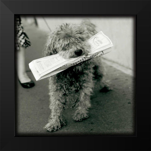 Paris Dog II Black Modern Wood Framed Art Print by Olivier, Marc