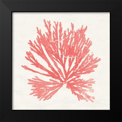 Pacific Sea Mosses II Coral Black Modern Wood Framed Art Print by Wild Apple Portfolio