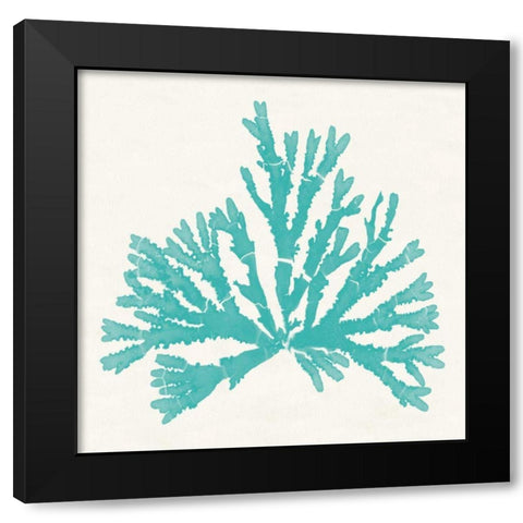 Pacific Sea Mosses IV Aqua Black Modern Wood Framed Art Print by Wild Apple Portfolio
