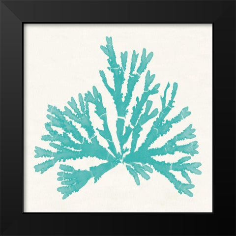 Pacific Sea Mosses IV Aqua Black Modern Wood Framed Art Print by Wild Apple Portfolio