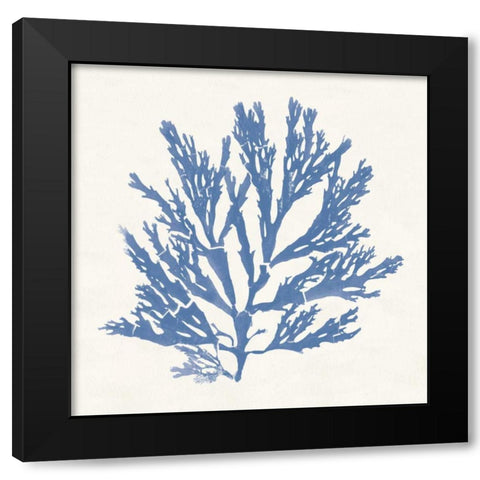 Pacific Sea Mosses I Light Blue Black Modern Wood Framed Art Print by Wild Apple Portfolio