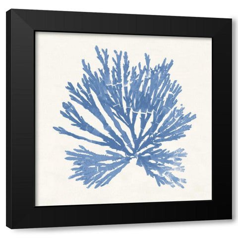 Pacific Sea Mosses II Light Blue Black Modern Wood Framed Art Print by Wild Apple Portfolio