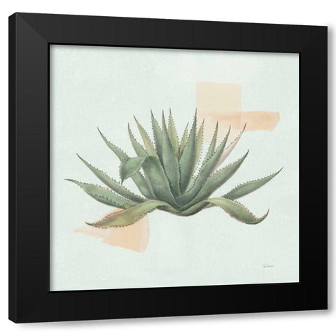 Desert Color Succulent I Mint Black Modern Wood Framed Art Print with Double Matting by Schlabach, Sue