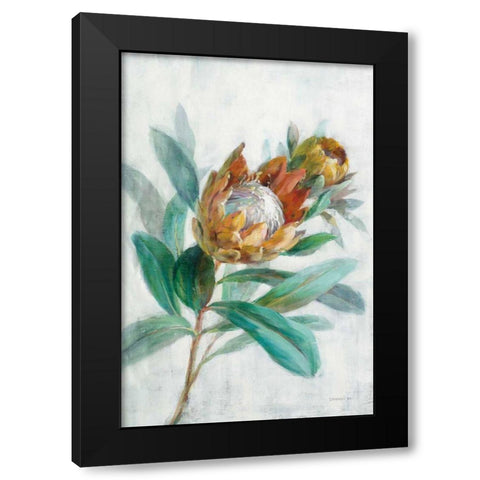 Tropical Protea Black Modern Wood Framed Art Print with Double Matting by Nai, Danhui