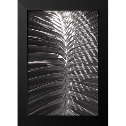 Palm Detail I BW Black Modern Wood Framed Art Print by Wild Apple Portfolio