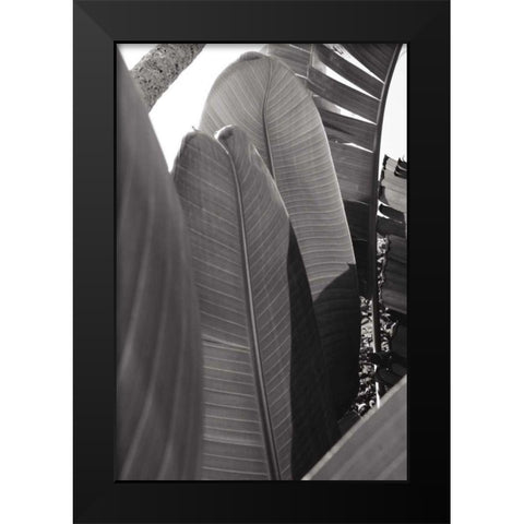 Palm Detail IV BW Black Modern Wood Framed Art Print by Wild Apple Portfolio