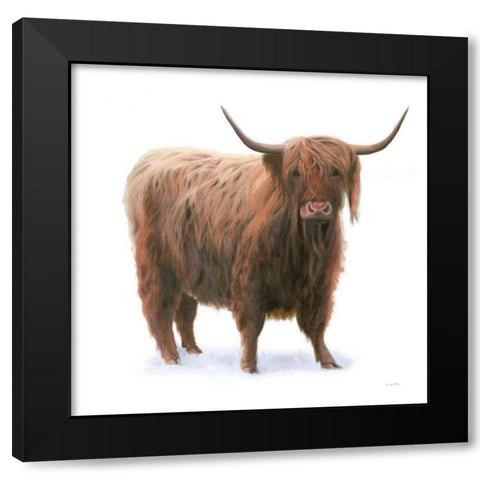 King of the Highland Fields on White Black Modern Wood Framed Art Print with Double Matting by Wiens, James