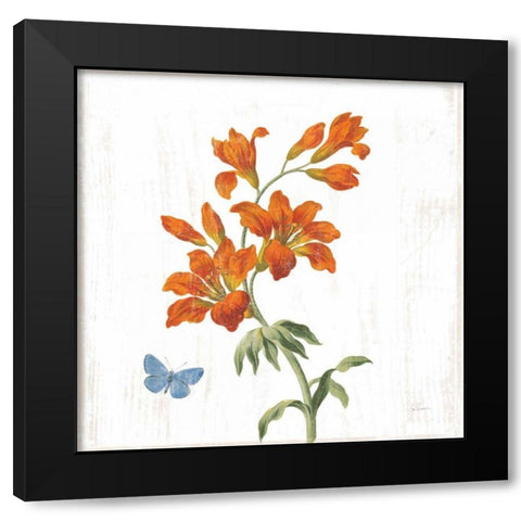 White Barn Flowers VII Sq Black Modern Wood Framed Art Print with Double Matting by Schlabach, Sue