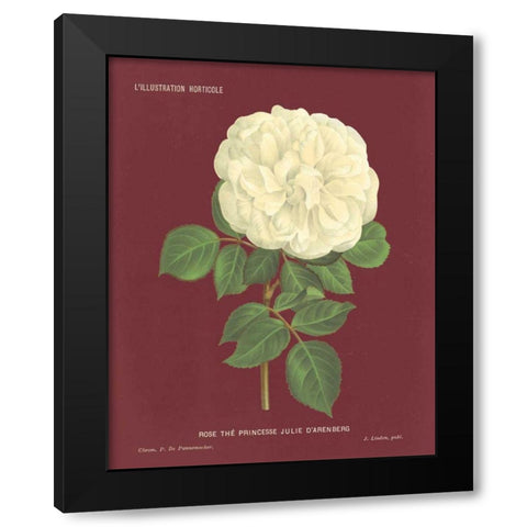 Yellow Rose Pomegranate Black Modern Wood Framed Art Print by Wild Apple Portfolio