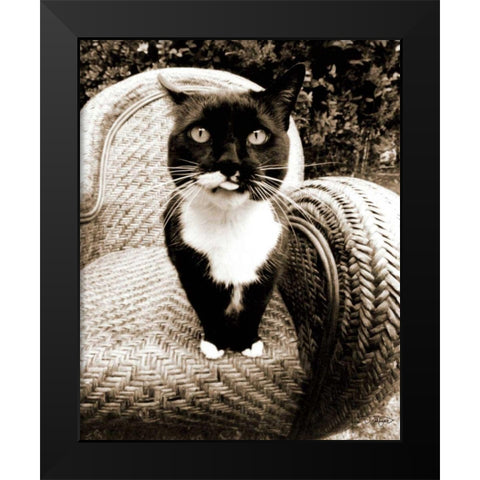 Kitty I Black Modern Wood Framed Art Print by Dratfield, Jim