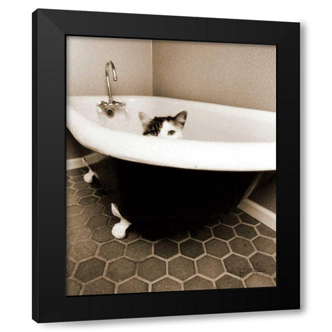 Kitty III Black Modern Wood Framed Art Print with Double Matting by Dratfield, Jim