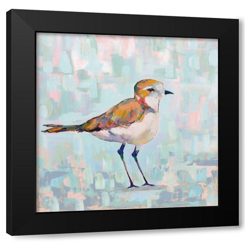 Coastal Plover III Neutral Black Modern Wood Framed Art Print with Double Matting by Vertentes, Jeanette