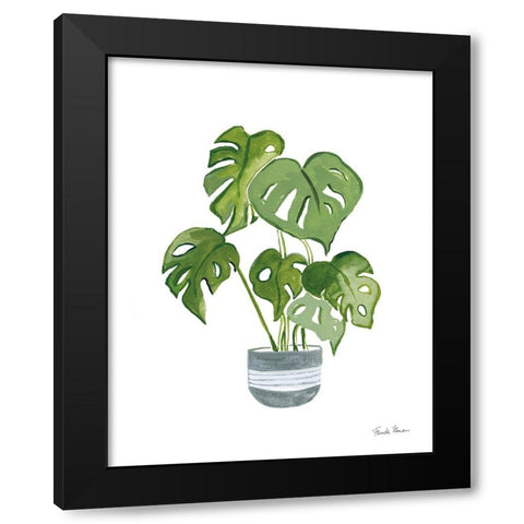 Green House Plants II Black Modern Wood Framed Art Print with Double Matting by Zaman, Farida