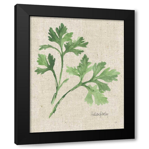 Italian Parsley v2 on Burlap Black Modern Wood Framed Art Print with Double Matting by Paschke, Chris