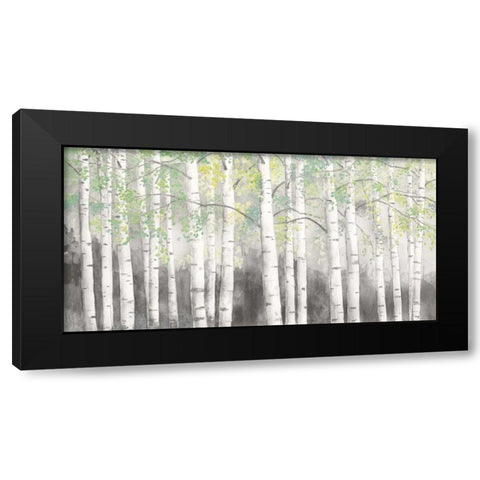 Soft Birches Charcoal Black Modern Wood Framed Art Print with Double Matting by Wiens, James