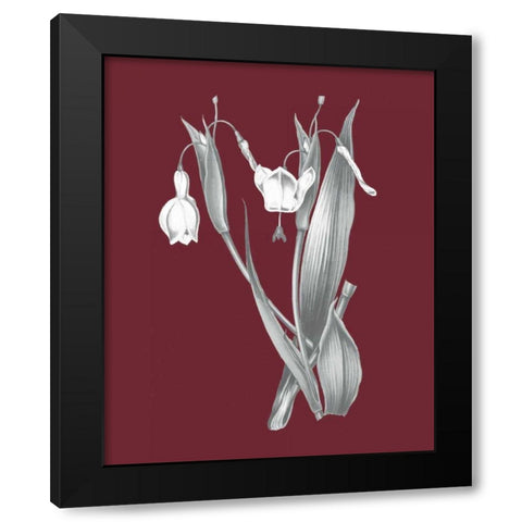 Pomegranate Botanical II Black Modern Wood Framed Art Print by Wild Apple Portfolio
